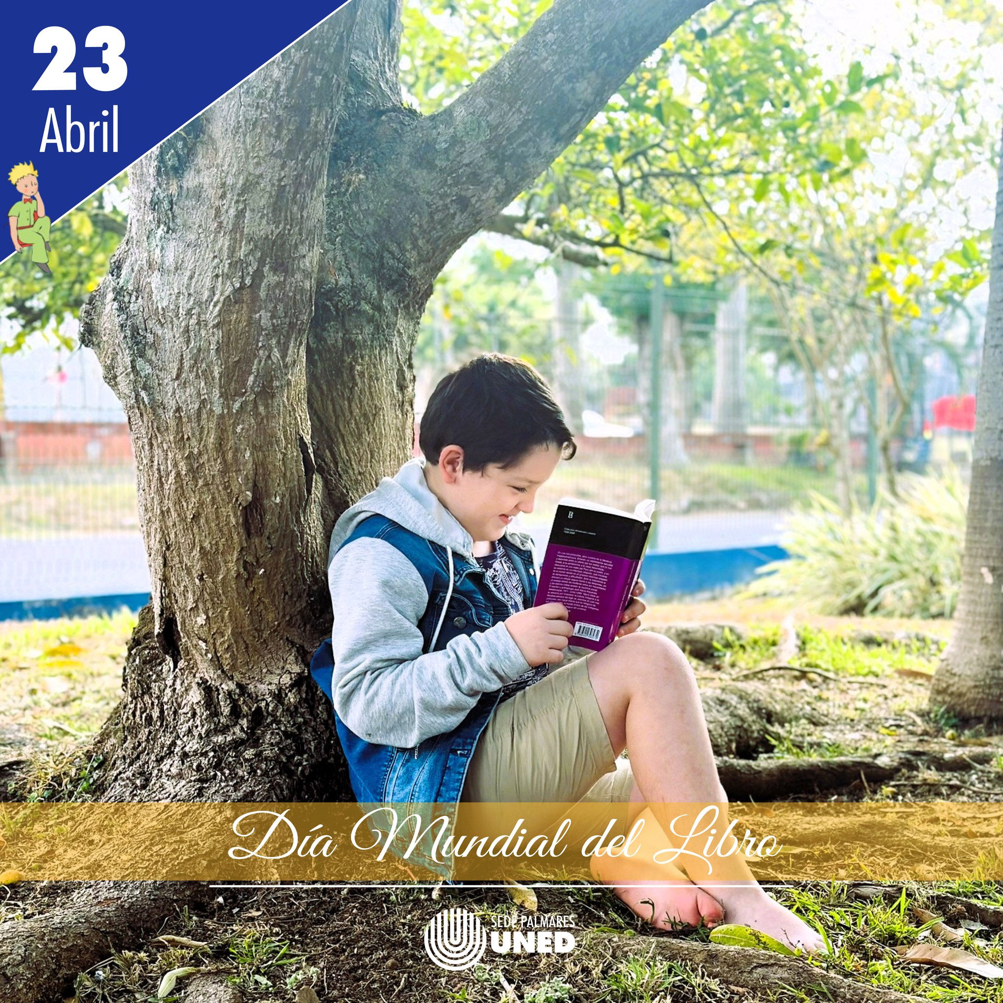 24 Día Mundial del Libro